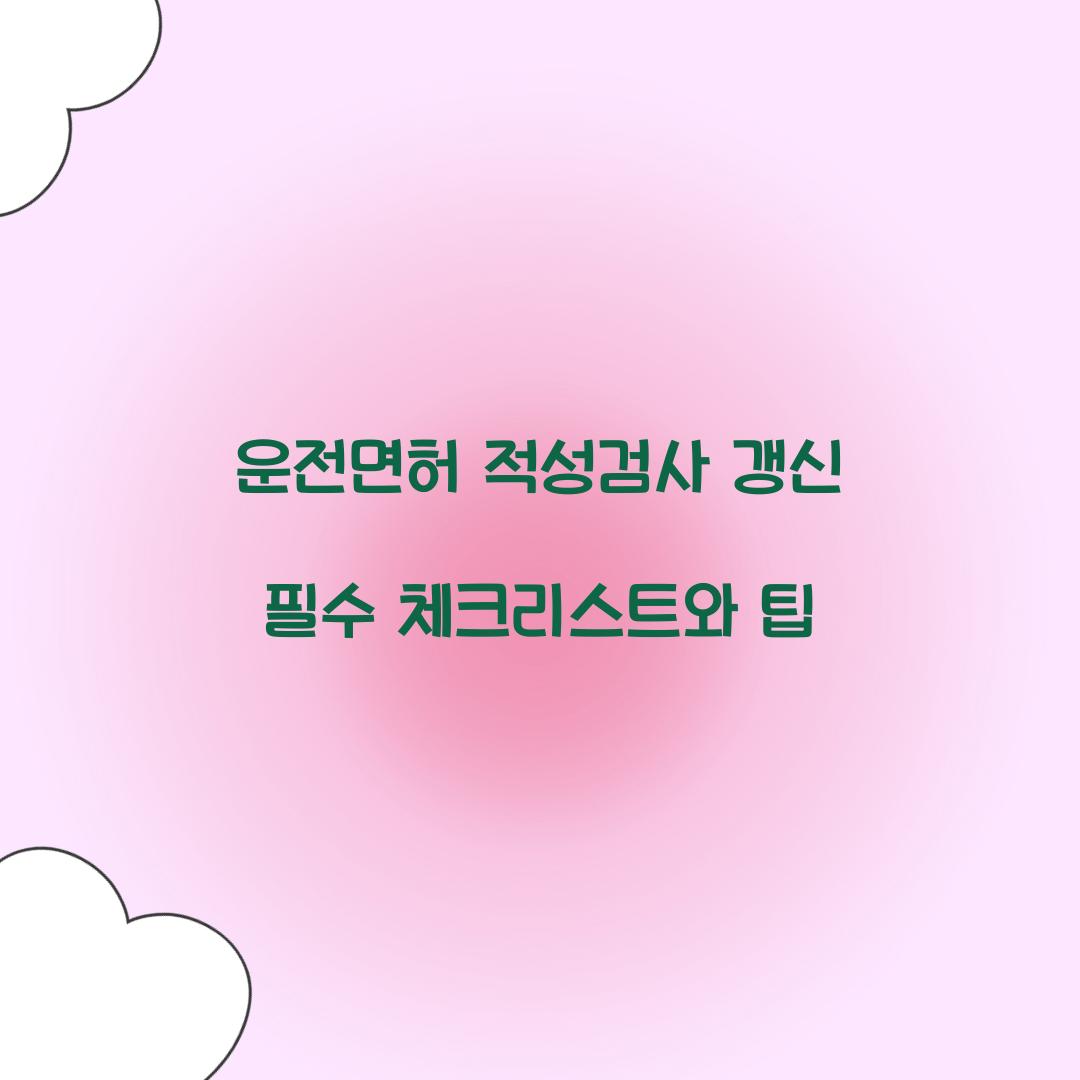 운전면허 적성검사 갱신