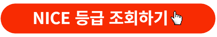 나이스등급확인-바로가기버튼