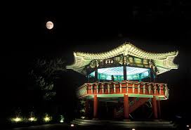 2025정월대보름-달맞이-정자위 보름달