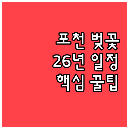 포천 벚꽃 명소 추천과 2026년 예..