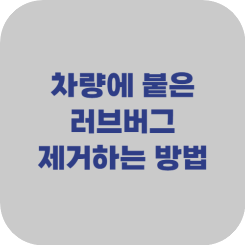 차량에 붙은 러브버그 제거하는 방법