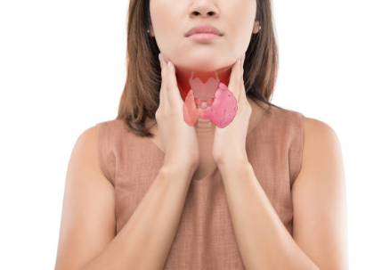 갑상선 기능 저하증 증상&amp;#44; 좋은음식&amp;#44; 수치 총정리 (2024ver)