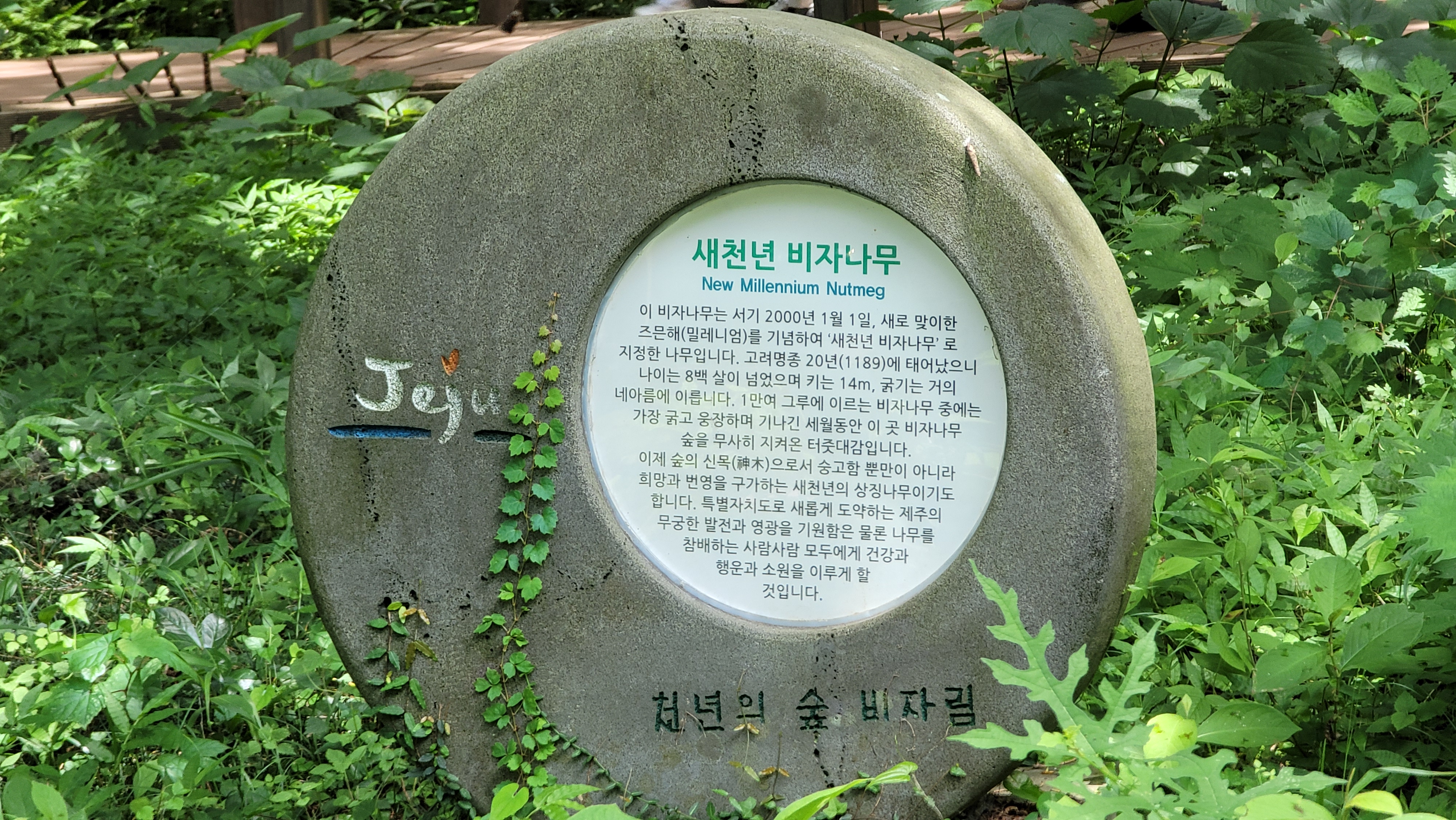 비자림