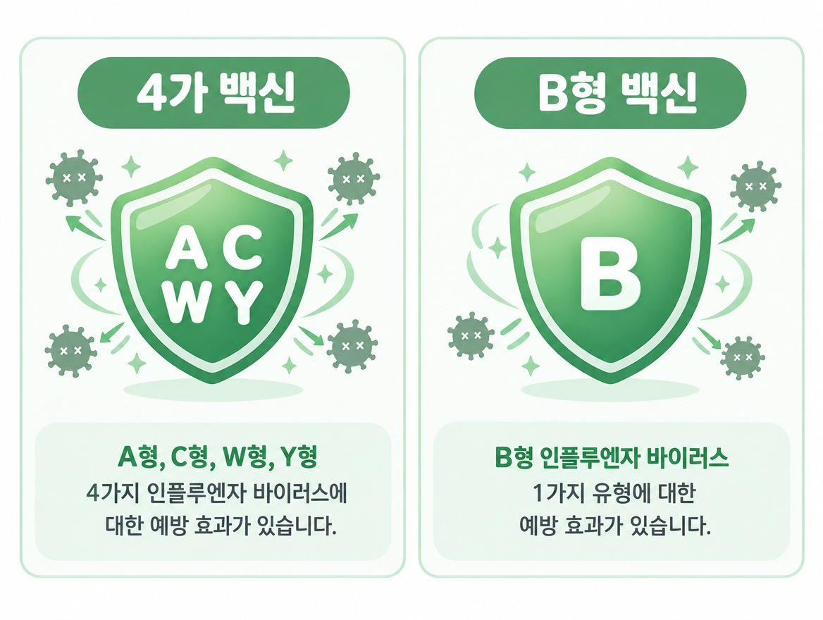수막구균 4가 백신 B형 백신 비교