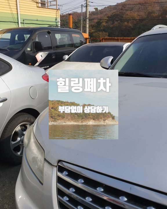 압류 영치 차량 접수 전 확인