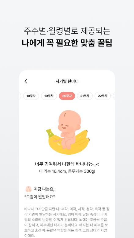 배란일 계산기, 임신주수 계산기, 스마일리더, 임신, 육아일기, 생리주기, 배란일, 가임기