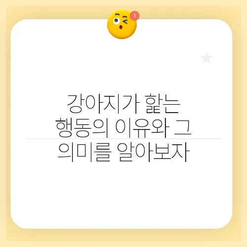 강아지가 핥는 행동의 이유와 그 의미를 알아보자