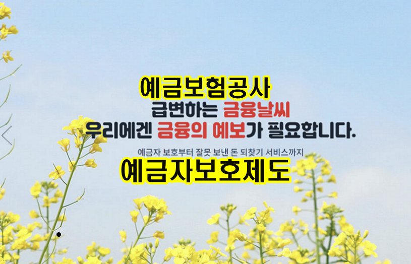 예금보험공사-예금자보호제도