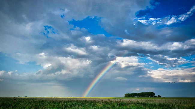 하늘에 무지개가 떠있는 사진