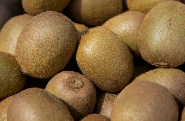 키위 효능 10가지 부작용 알고 먹자!