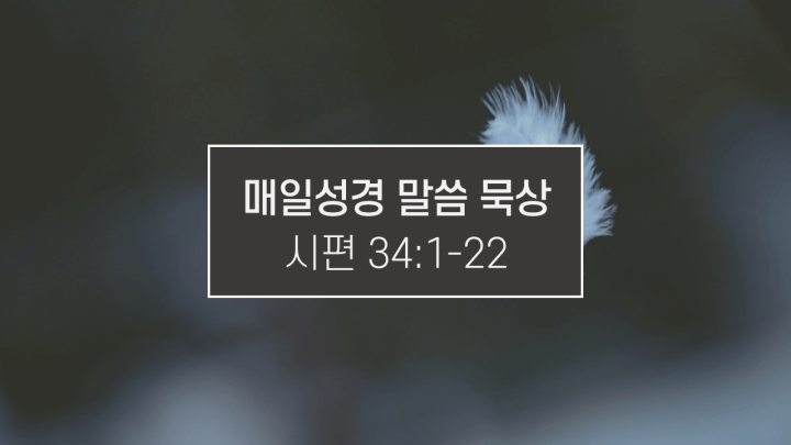 썸네일-깃털