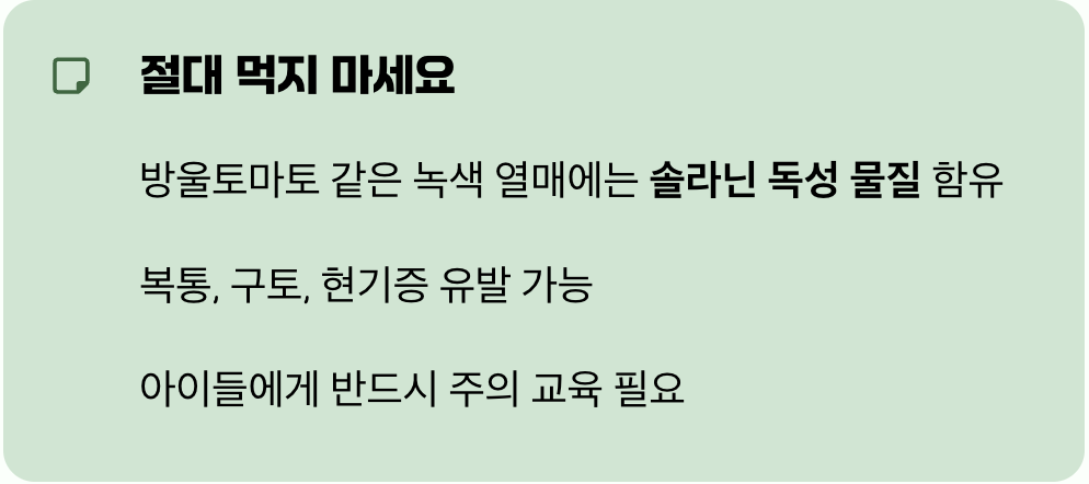 방울토마토? 절대 만지면 안 돼요!