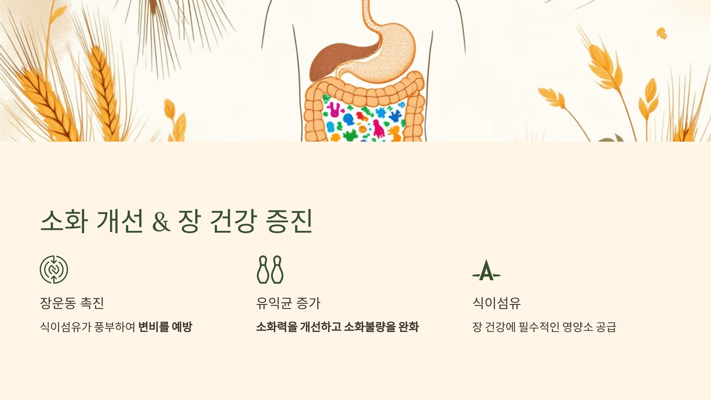 카무트 쌀 사진입니다.