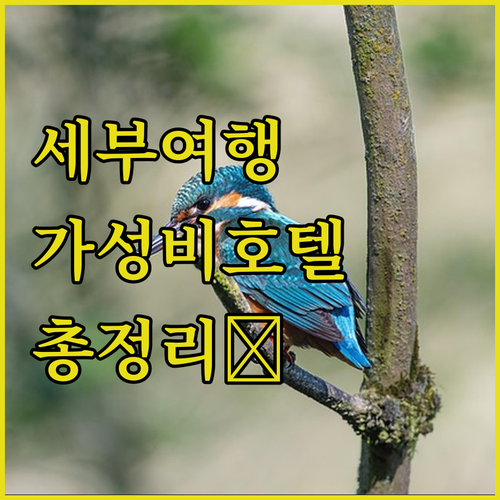 세부 여행객 필독 추천 가성비 호텔 ..