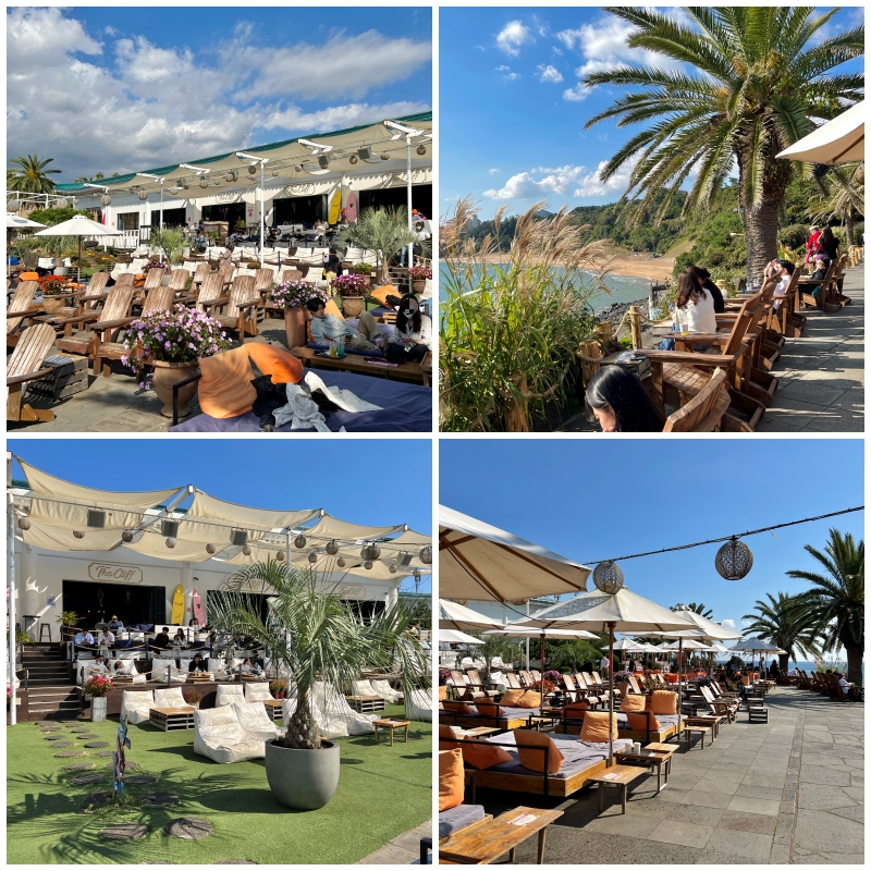 제주도 더클리프