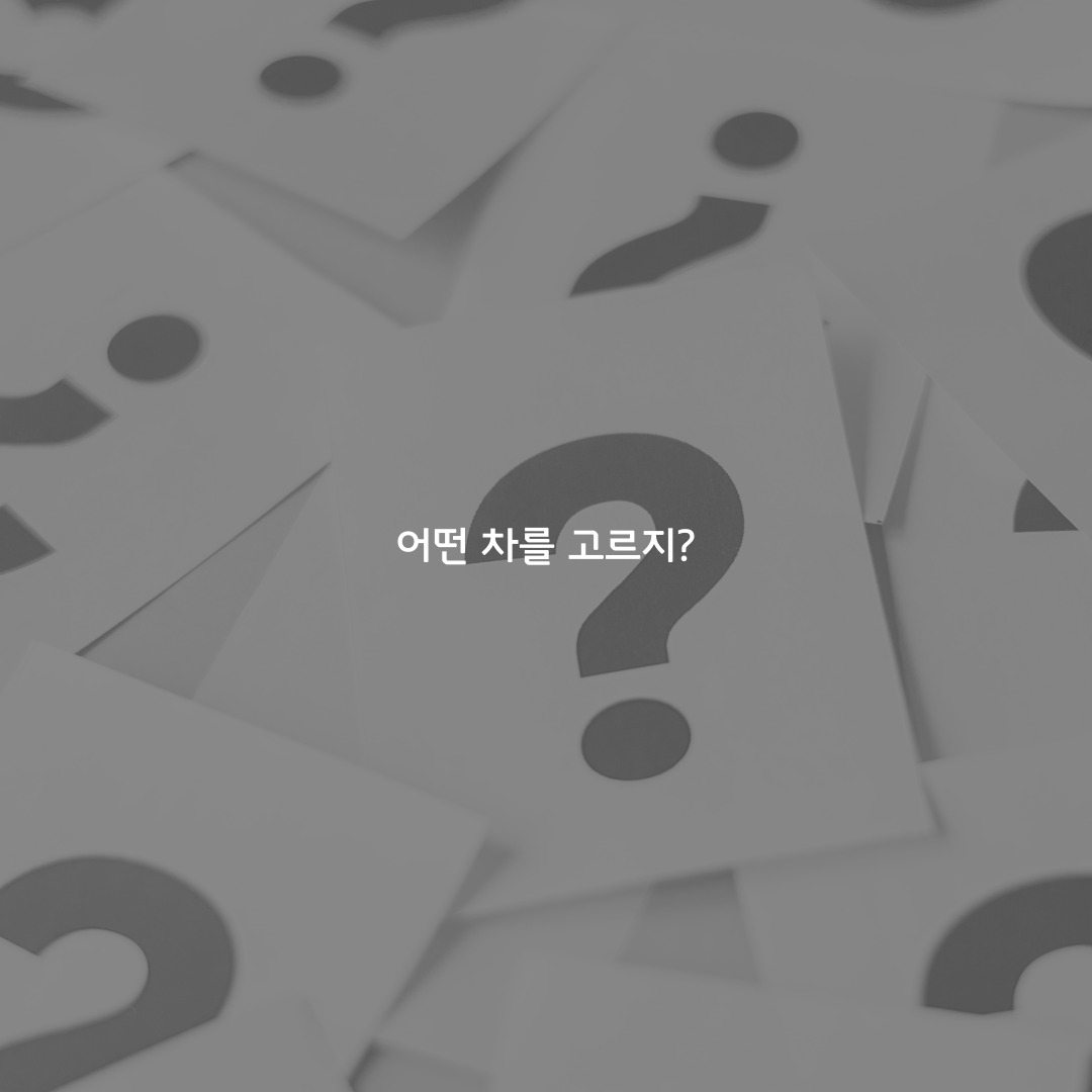 한량, 한량시대, 지적한량, 신차구매, 전기차, 내연기관, 하이브리드