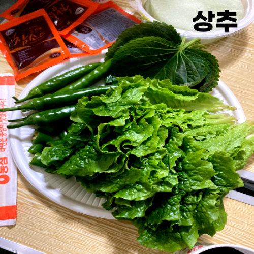 수면에-좋은-음식