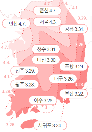 벚꽃 개화 시기