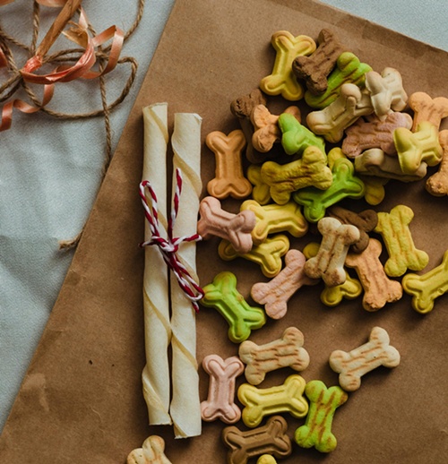 반려동물 사료들이 색상 별로 찍은 사진