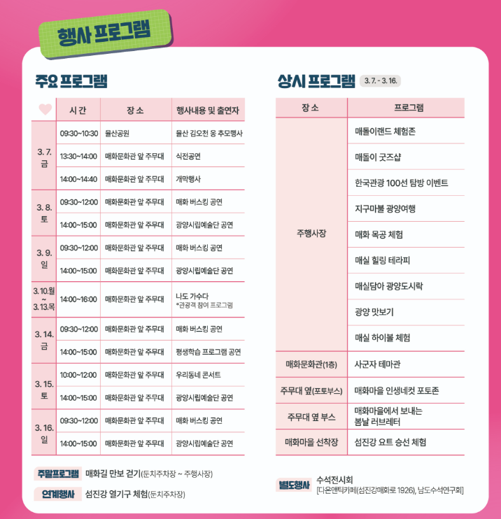 2025 광양매화축제 총정리3