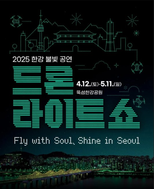 2025 한강불빛공연 드론라이트쇼