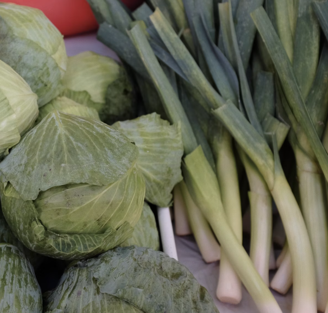 대파 효능과 부작용 고르는법