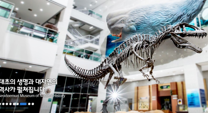 주말 아이랑 가기 좋은 곳 추천 - 서대문자연사 박물관