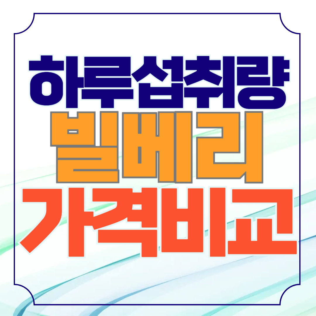 빌베리 하루섭취량 가격비교 성분