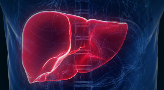 간 수치 검사의 정상 범위와 낮거나 높으면 그 의미와 증상