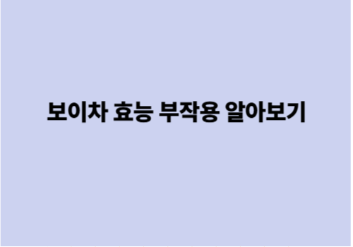 보이차 효능 부작용 알아보기