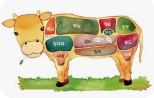 2024 소(牛)프라이즈 투뿔 반값 한우세일