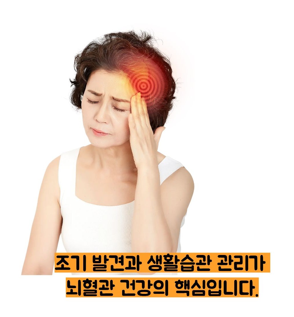 경동맥 석회화 경화반