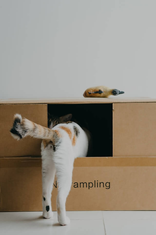 근린생활시설 전세&amp;#44; 월세 계약 시 주의사항(+ 임대&amp;#44; 매매)