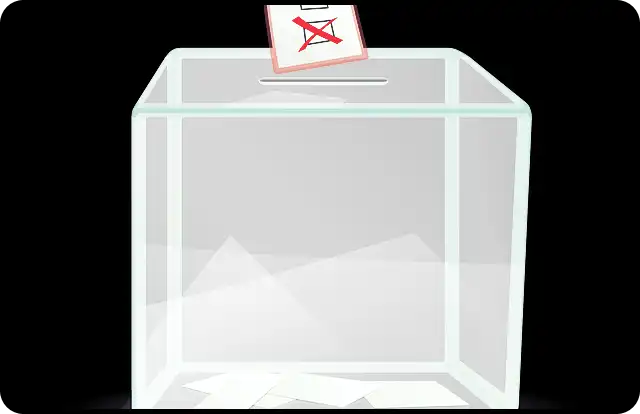 미국 대선 결과 발표 실시간 현황 확인해 보세요!