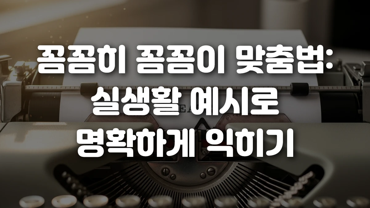 꼼꼼히 꼼꼼이 맞춤법 실생활 예시로 명확하게 익히기