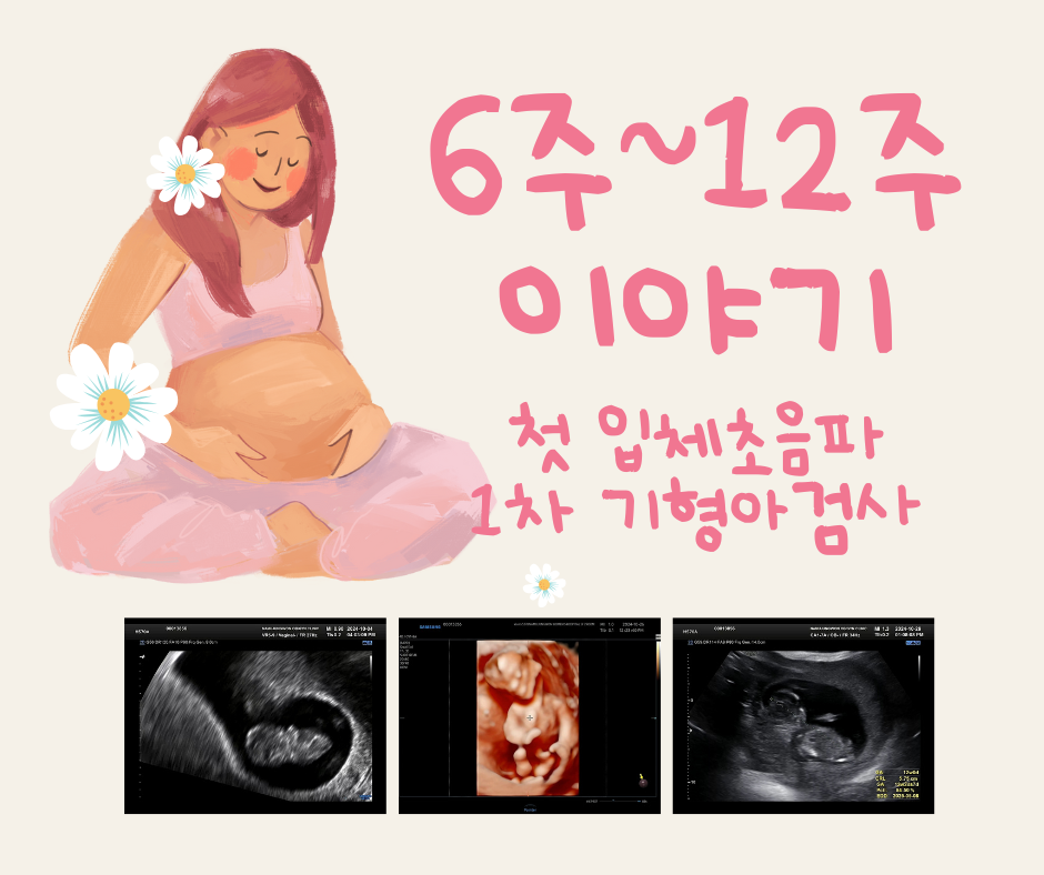 1차-기형아검사