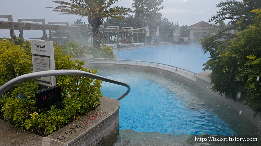 제주신라호텔 수영장