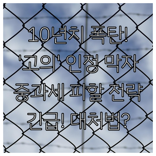 10년 합산 누락 고의적 부정행위로 ..