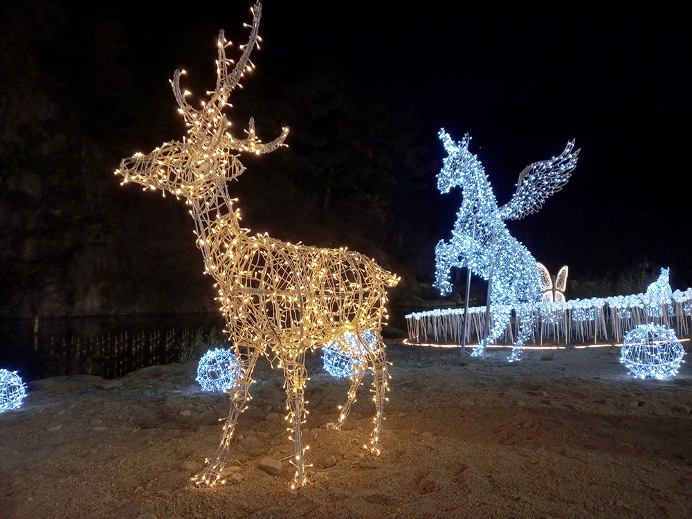 길이 주는 선물 홍제천을 걷자!