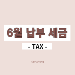 6월 납부 세금
