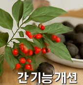 공진당효능