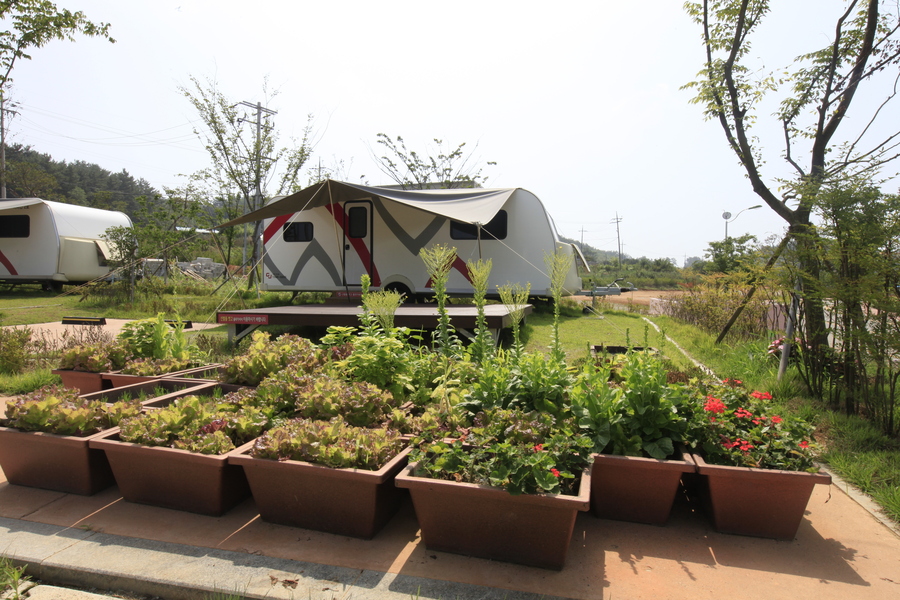 전라남도 무안군 회산백련지 오토캠핑장 소개