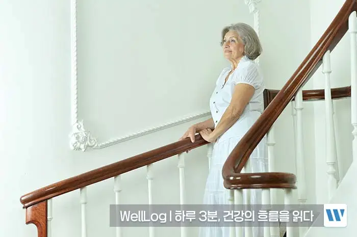 콘드로이친 효능