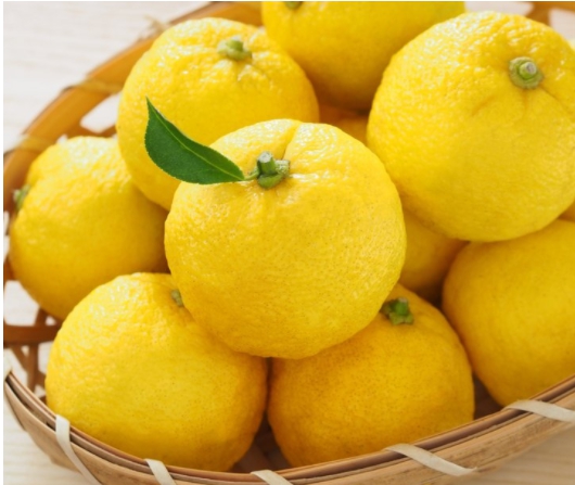 겨울 과일 종류