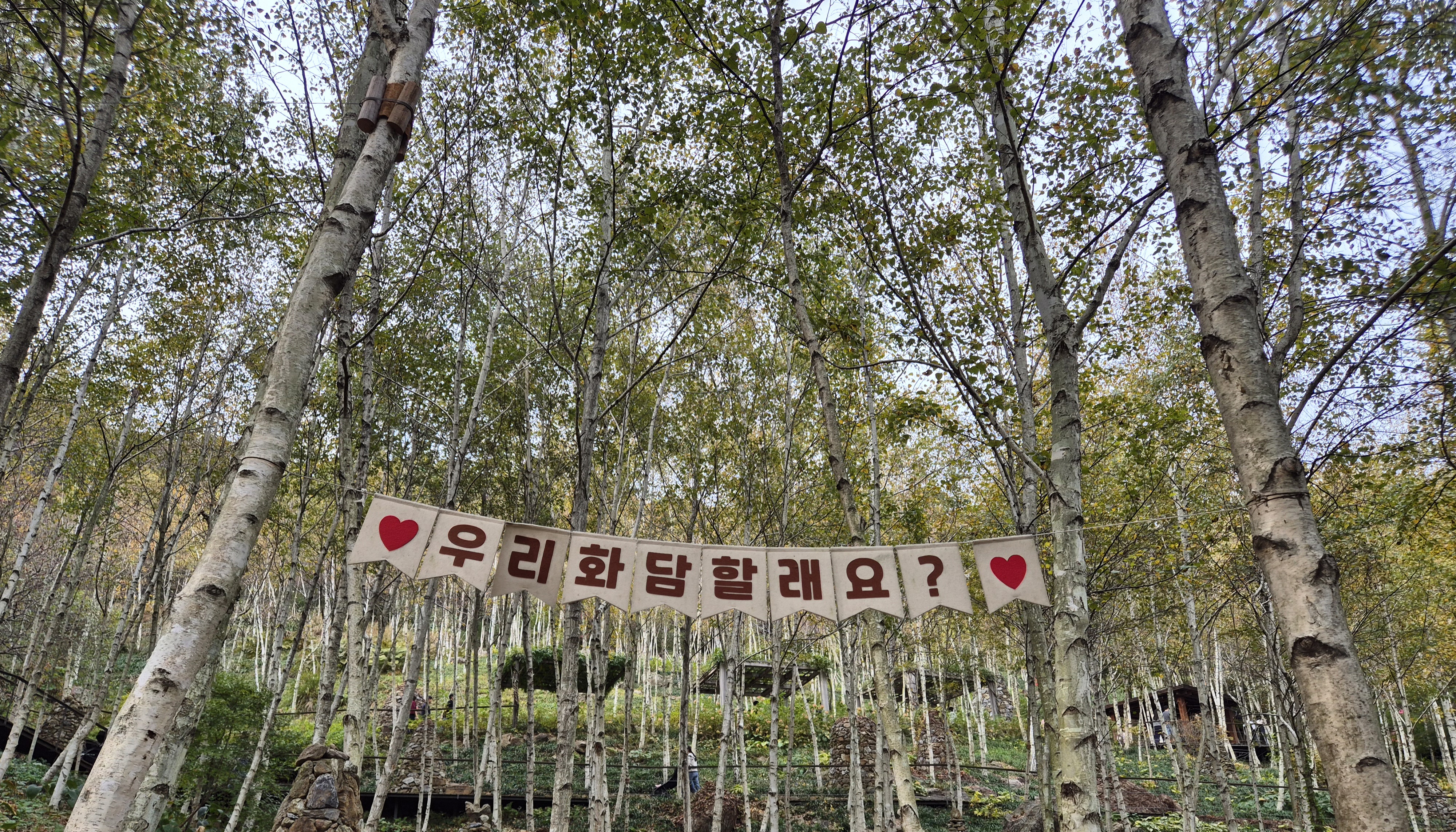 화담숲 산책기｜자연 속 힐링 스팟 예약 하러 가기