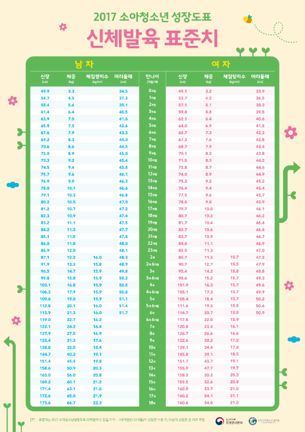 신체발육-표준치