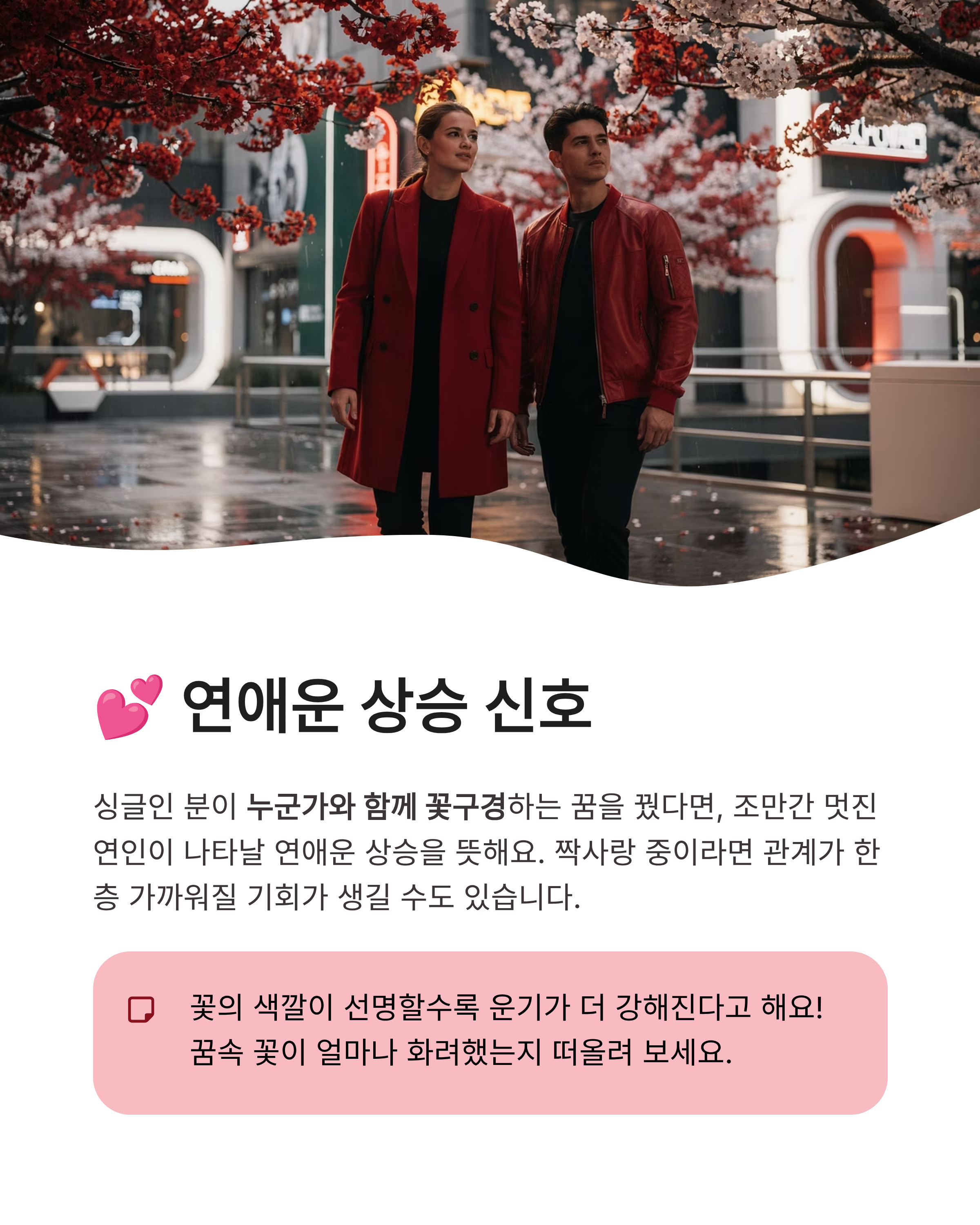 꽃구경 하는 꿈 해몽 태몽부터 연애운까지 상황별 길몽 총정리!