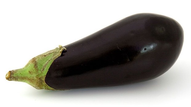 가지 효능 및 보관, 칼로리(열량)