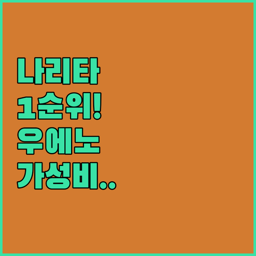 나리타 공항 이동 편한 우에노 호텔 ..