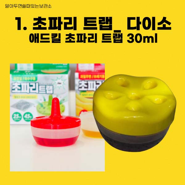 초파리 날파리 제거방법 다이소 리스테린 초파리싹